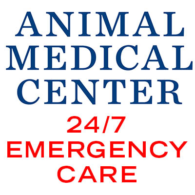 Homeless Pet Help Medical